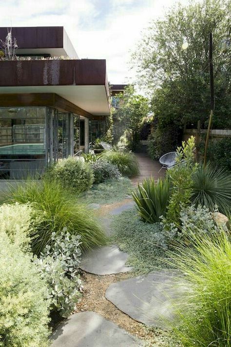 Gathering Greenery From Your Backyard for Christmas Decor